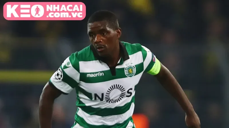 Đánh giá chuyên sâu theo chuyên gia Kèo Nhà Cái VC nhận định